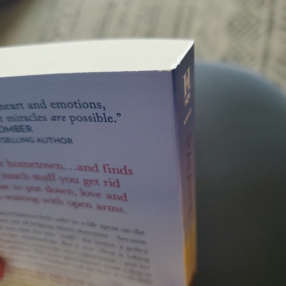 Cape Sanctuary Series: The Path to Sunshine Cove by Raeanne Thayne - Picture 6 of 6